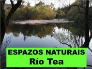 Espazos Naturais: Río Tea